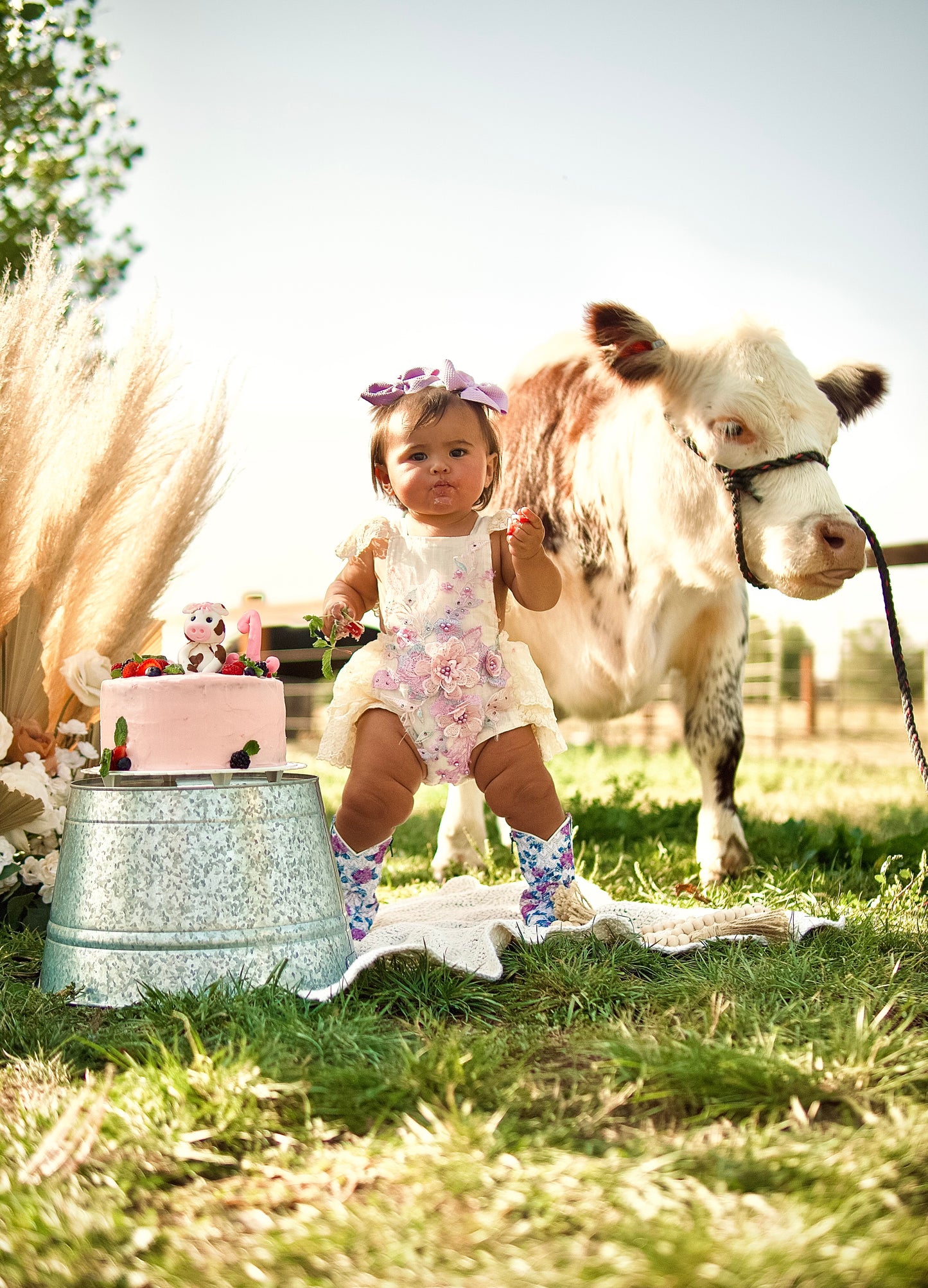 Colorado Photographer Services